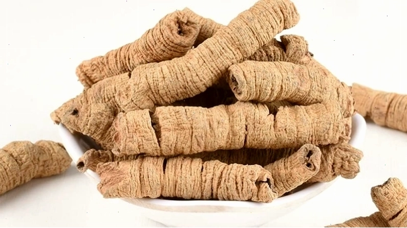 Rễ cây ba kích với các hoạt chất có lợi cho sức khỏe