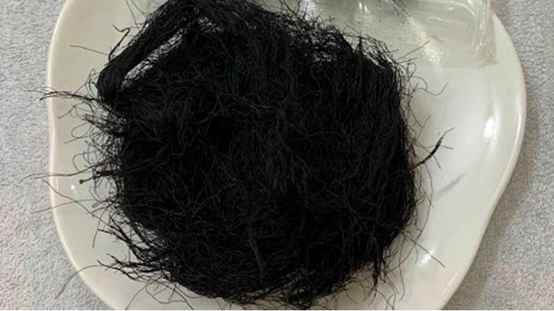 Rong tóc tiên Việt Nam dạng sợi xanh đen