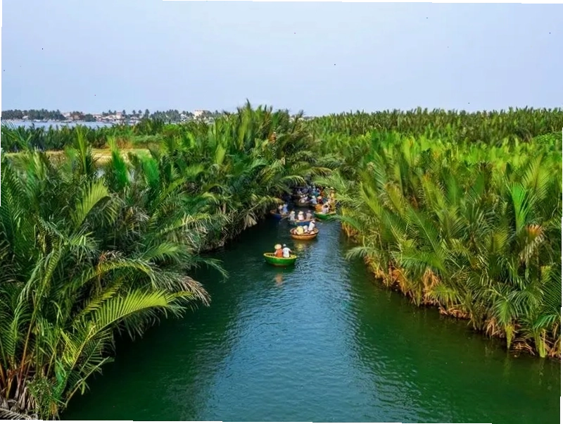 Rừng dừa Bảy Mẫu gần biển An Bàng mang đến trải nghiệm thiên nhiên thú vị