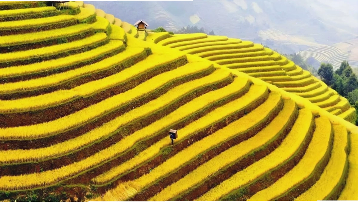 Ruộng bậc thang là một ví dụ điển hình về cảnh quan thiên nhiên do con người kiến tạo hài hòa với tự nhiên