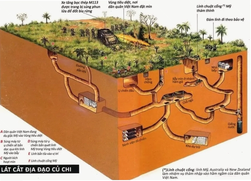 Sơ đồ hệ thống phức tạp của Địa đạo Củ Chi