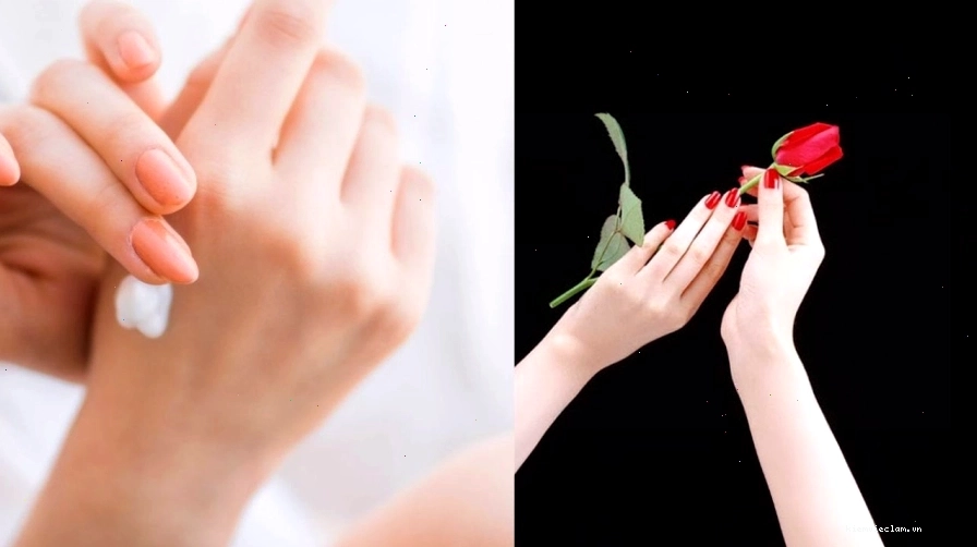 So sánh bàn tay búp măng và các loại tay khác