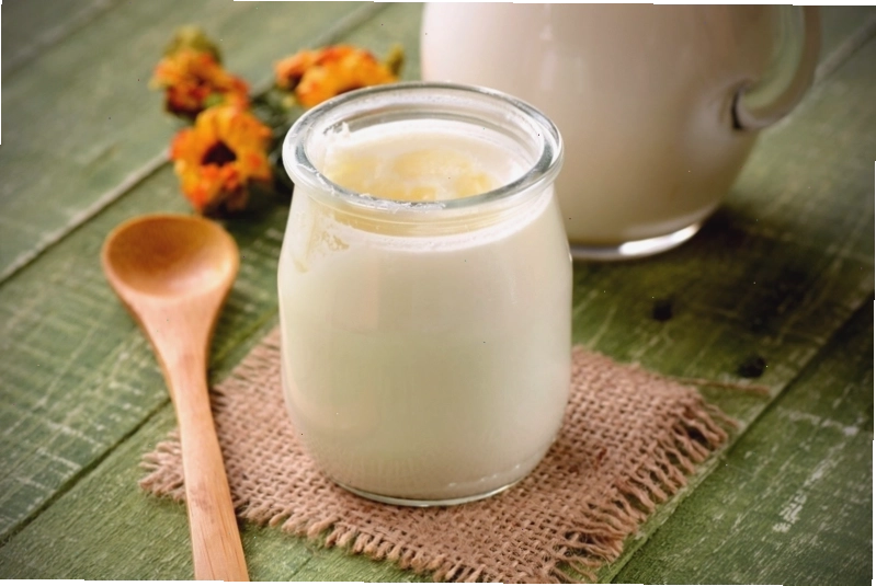 Sử dụng nấm kefir chất lượng và đúng cách