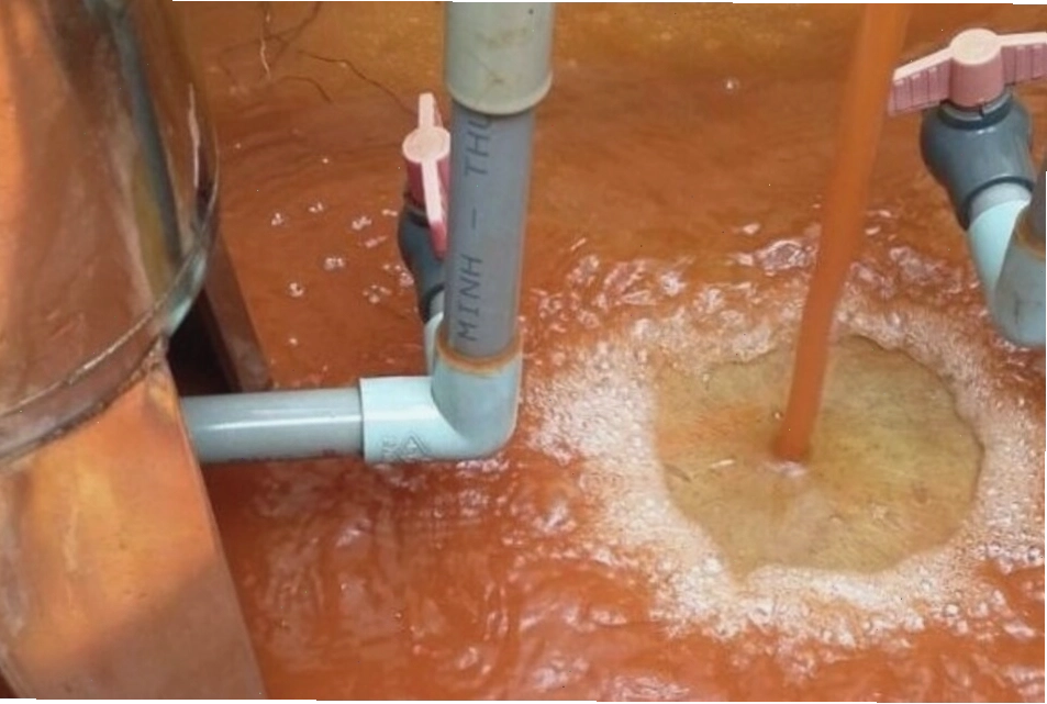 Sử dụng nước ô nhiễm gây ảnh hưởng tiêu cực
