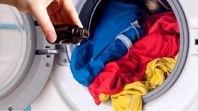 Sử dụng tinh dầu quế để đuổi muỗi hiệu quả