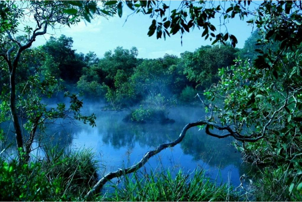 Suối khoáng nóng Bình Châu