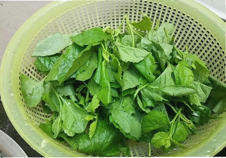 Tác dụng của rau cải trời trong việc hỗ trợ sức khỏe