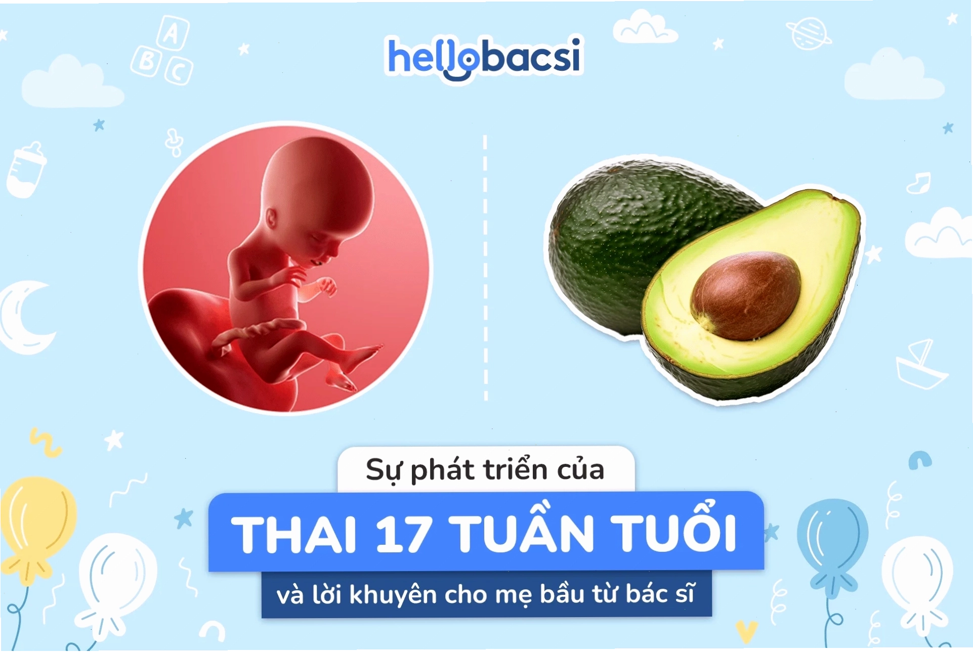Thai nhi 17 tuần phát triển kích thước và cân nặng