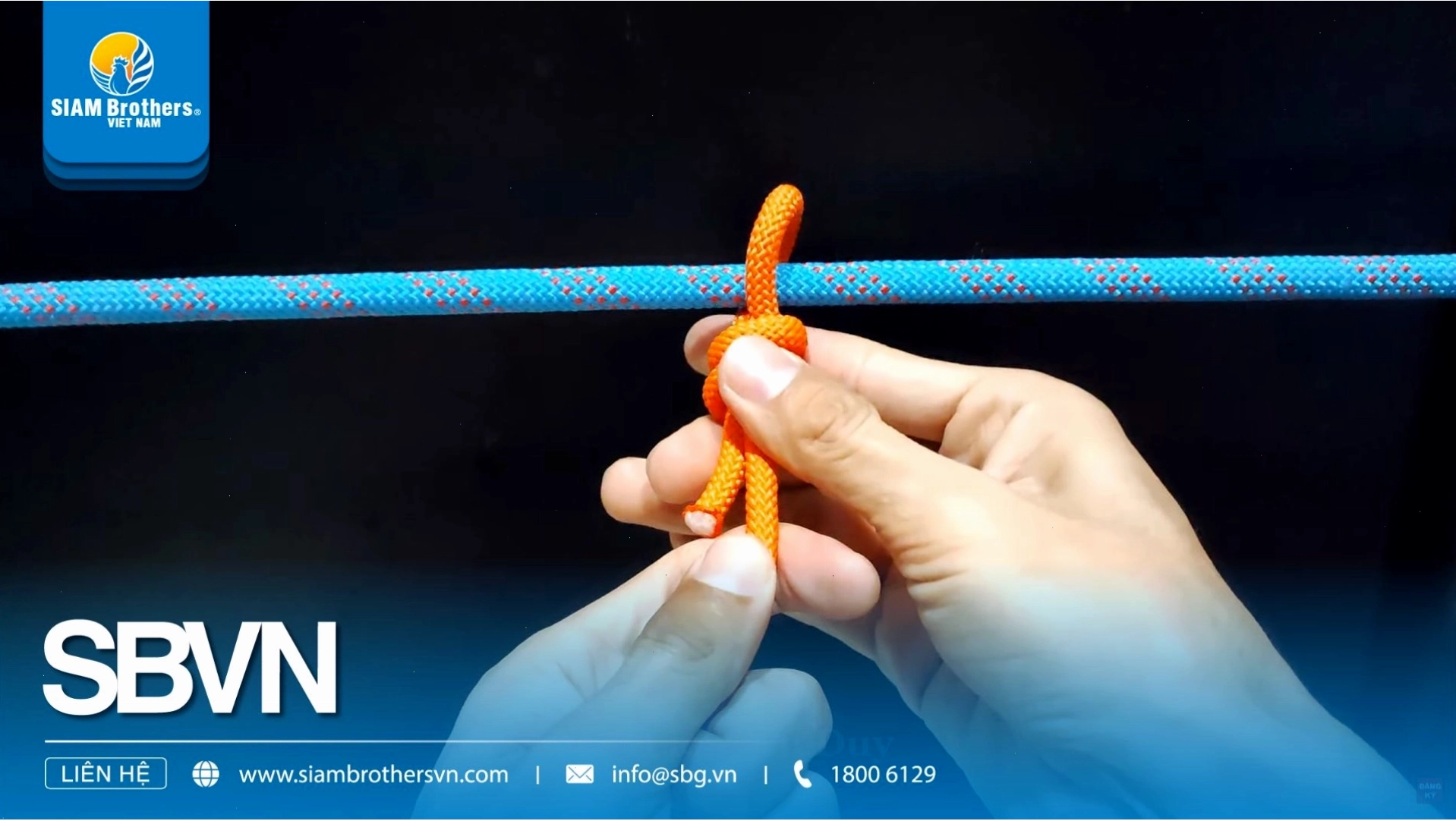 Thiết kế giàn leo sáng tạo cho sân vườn