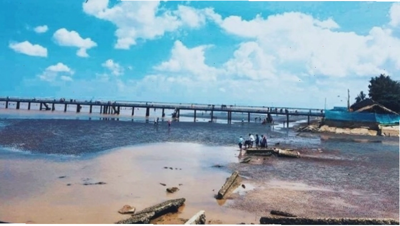 Thời điểm đẹp nhất để khám phá biển Tân Thành là mùa hải sản