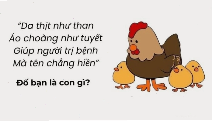 Thử thách trí tuệ với các câu đố mẹo siêu khó đòi hỏi tư duy vượt trội