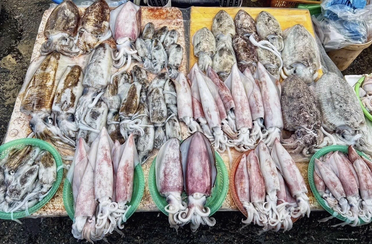 Thưởng thức hải sản tươi ngon tại Cà Ná