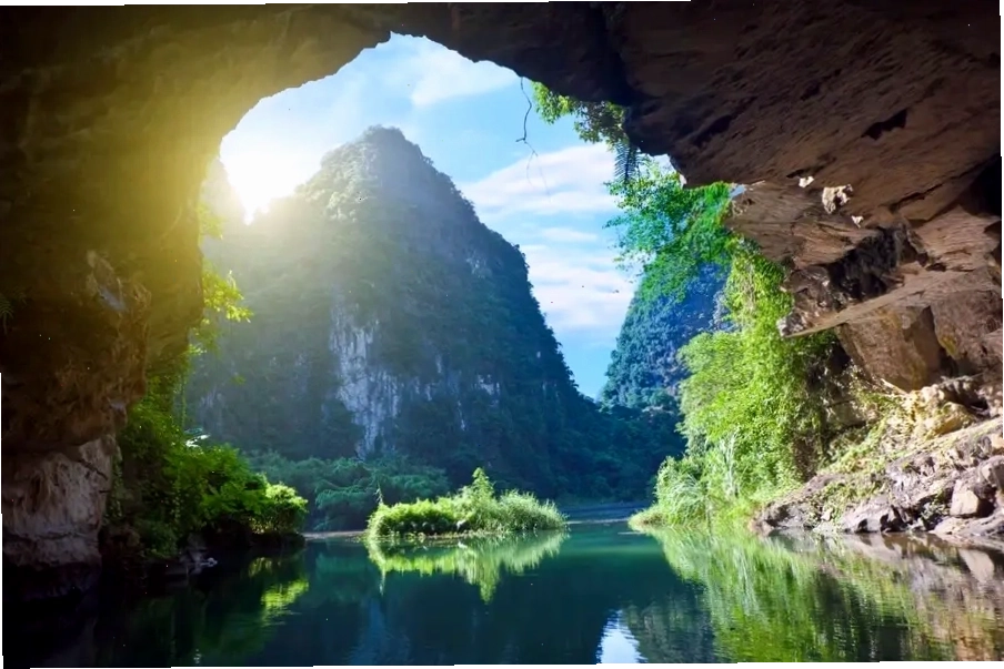 Thuyền di chuyển trong rừng ngập nước để ngắm chim
