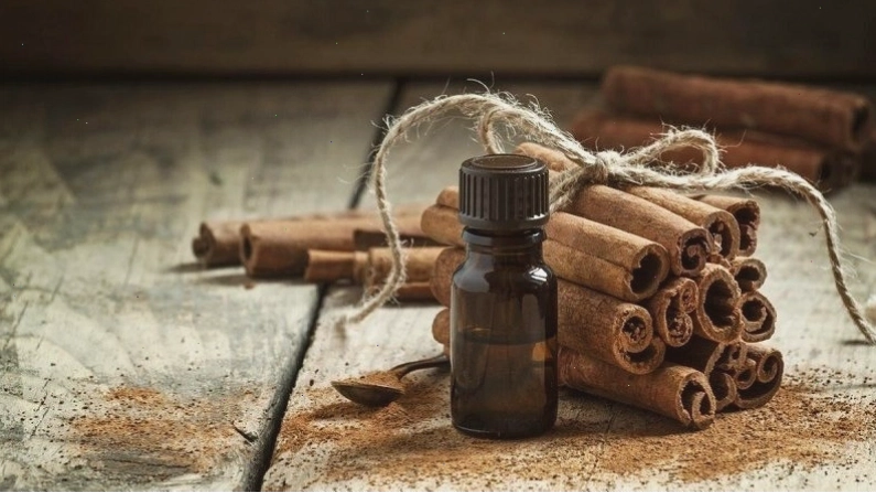 Tinh dầu quế có tác dụng sát khuẩn và làm đẹp da