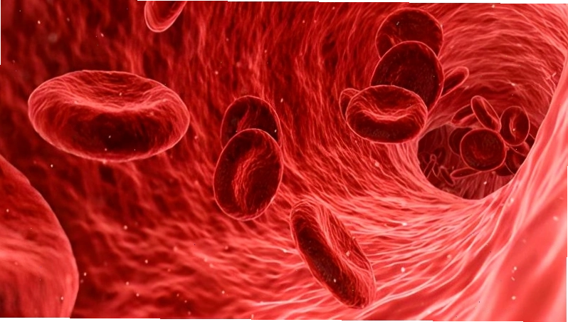 Tinh dầu quế giúp giảm nồng độ cholesterol xấu trong máu