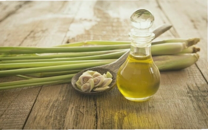 Tinh dầu sả là một trong những mẹo đuổi thằn lằn hiệu quả