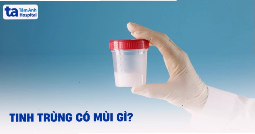 Tinh dịch, tinh trùng có mùi gì? Vị mặn hay không mùi có sao không?