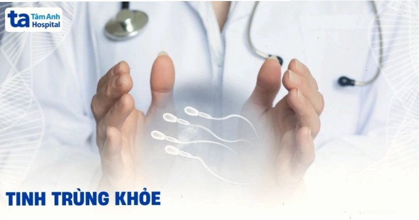 Tinh trùng khỏe mạnh có hình dạng chuẩn