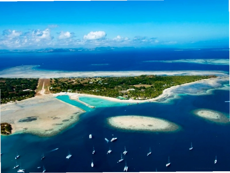 Toàn cảnh bãi biển Fiji với làn nước xanh ngắt và những hàng dừa thơ mộng