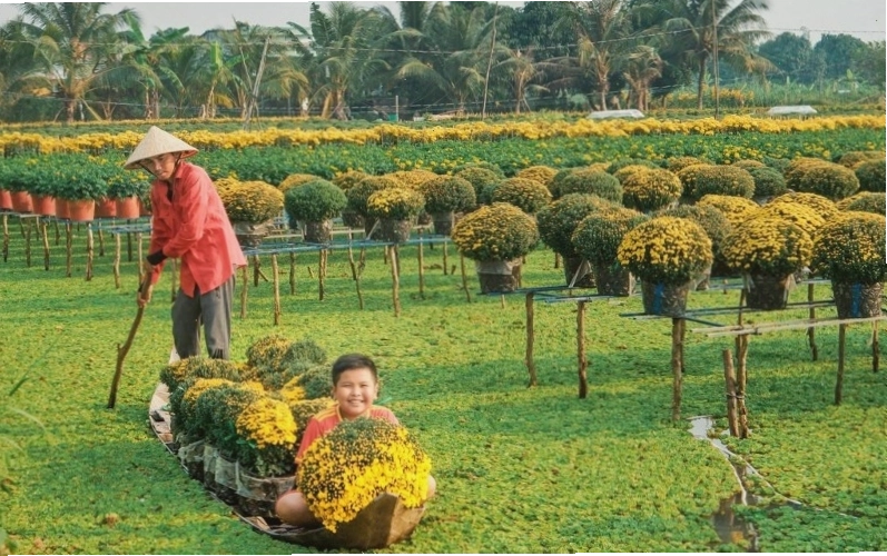 Tổng quan về vẻ đẹp thiên nhiên và kiến trúc của Sa Đéc