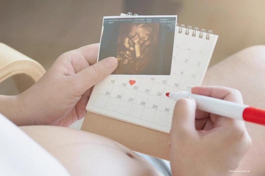 Tuổi thai trong IVF được tính từ ngày bơm tinh trùng hoặc chuyển phôi