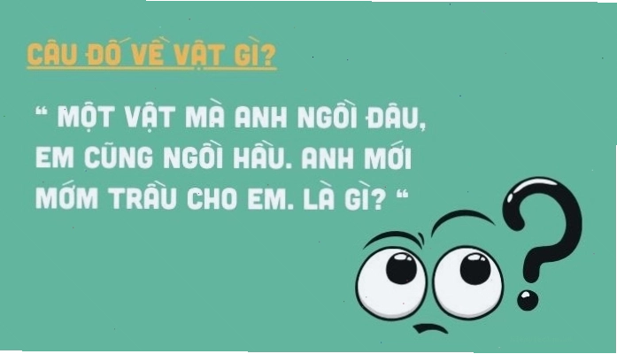 Tuyển tập những câu hỏi đố vui, đố mẹo hay và hài hước