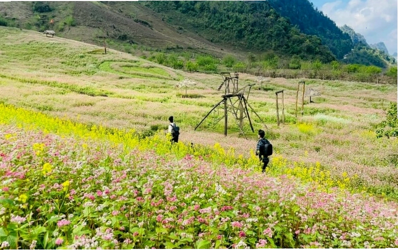 Vẻ đẹp hoang sơ của thiên nhiên tại Vân Hồ Sơn La