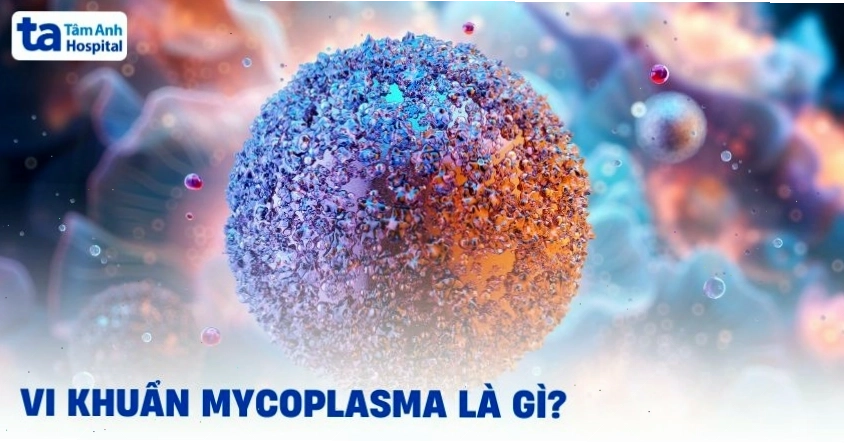 Vi khuẩn Mycoplasma là gì và các loại thường gặp