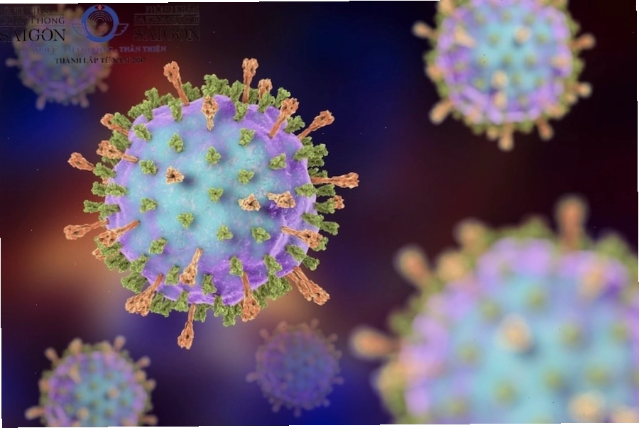 Virus quai bị là nguyên nhân chính gây bệnh ở người
