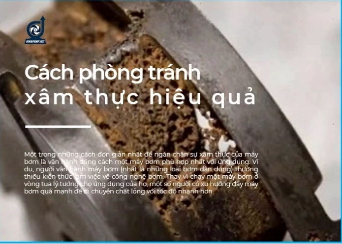 Vùng đất bị xói mòn do thiếu lớp phủ thực vật