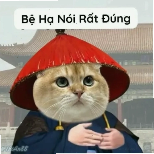 Hình troll khẩu hình lí nhí toát vẻ biết lỗi đáng yêu