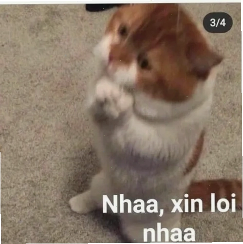 Khoảnh khắc nụ cười gượng khiến ai nhìn cũng mềm lòng ngay
