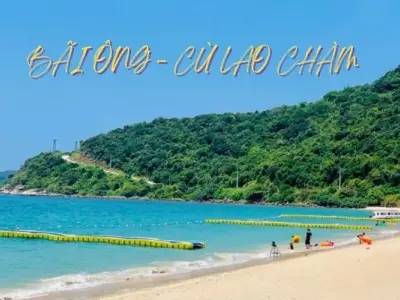 Trải nghiệm lặn ngắm san hô tại Bãi Ông Cù Lao Chàm