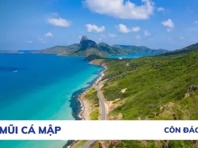 Vẻ đẹp kỳ vĩ của Mũi Cá Mập ở Côn Đảo hút hồn du khách