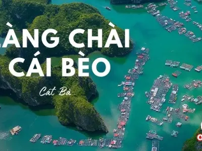 Khám phá làng chài Cái Bèo - Thành phố nổi giữa vịnh Cát Bà