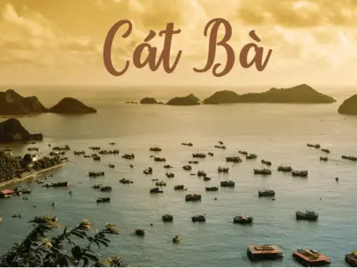 Top trải nghiệm thú vị không thể bỏ lỡ tại biển Cát Bà