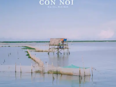 Kinh nghiệm du lịch biển Cồn Nổi chi tiết cho người mới