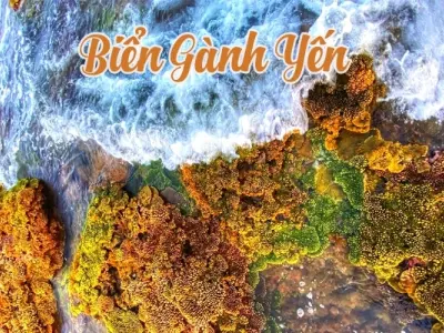 Ngỡ ngàng vẻ đẹp hoang sơ của Gành Yến Quảng Ngãi