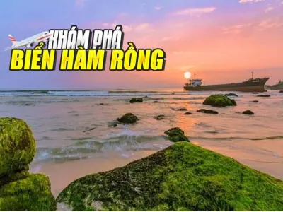 Khám phá vẻ đẹp hoang sơ đầy mê hoặc của Bãi biển Hàm Rồng