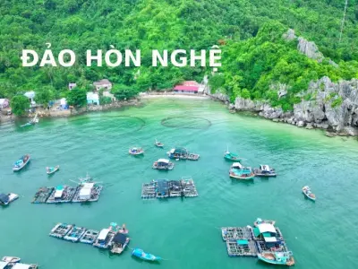 Khám phá đảo Hòn Nghệ - Nơi yên bình giữa đại dương xanh