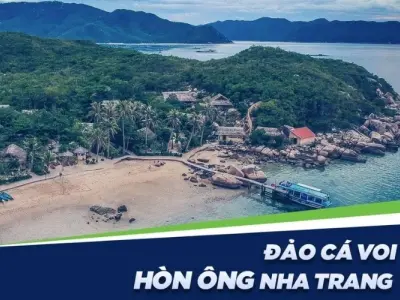 Vẻ đẹp nguyên sơ của Hòn Ông giữa vịnh Vân Phong