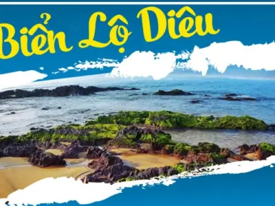 Bãi biển Lộ Diêu - Nét hoang sơ quyến rũ giữa lòng Bình Định