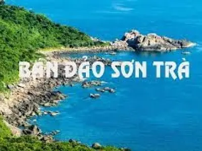 Khám phá Sơn Trà - Nơi giao hòa giữa rừng xanh và biển cả