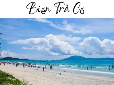 Tận hưởng kỳ nghỉ trọn vẹn tại bãi Trà Cổ thơ mộng