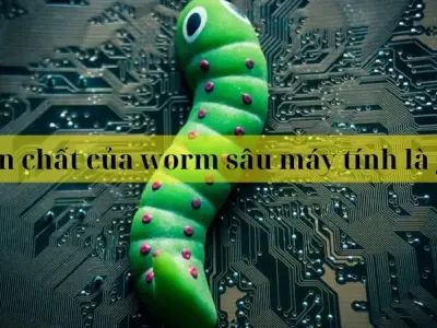 Bản chất của worm sâu máy tính là gì và mức độ nguy hiểm