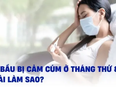 Bầu 8 tháng bị cảm có sao không mẹ cần làm gì ngay