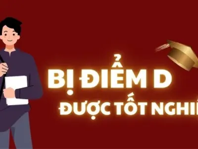 Bị điểm D có sao không ảnh hưởng GPA như thế nào