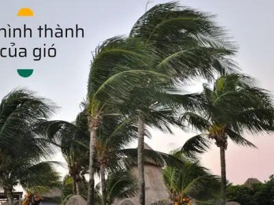 Gió được hình thành như thế nào? Sự chênh lệch áp suất không khí