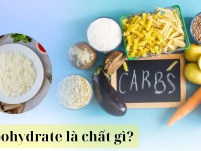 Carbohydrate là chất gì và vai trò quan trọng với cơ thể