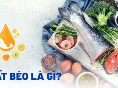 Chất béo là gì? Những điều quan trọng không nên bỏ qua